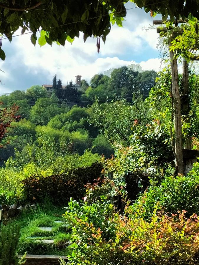 Sotto La Luna Bruna B&B Кокконато Экстерьер фото