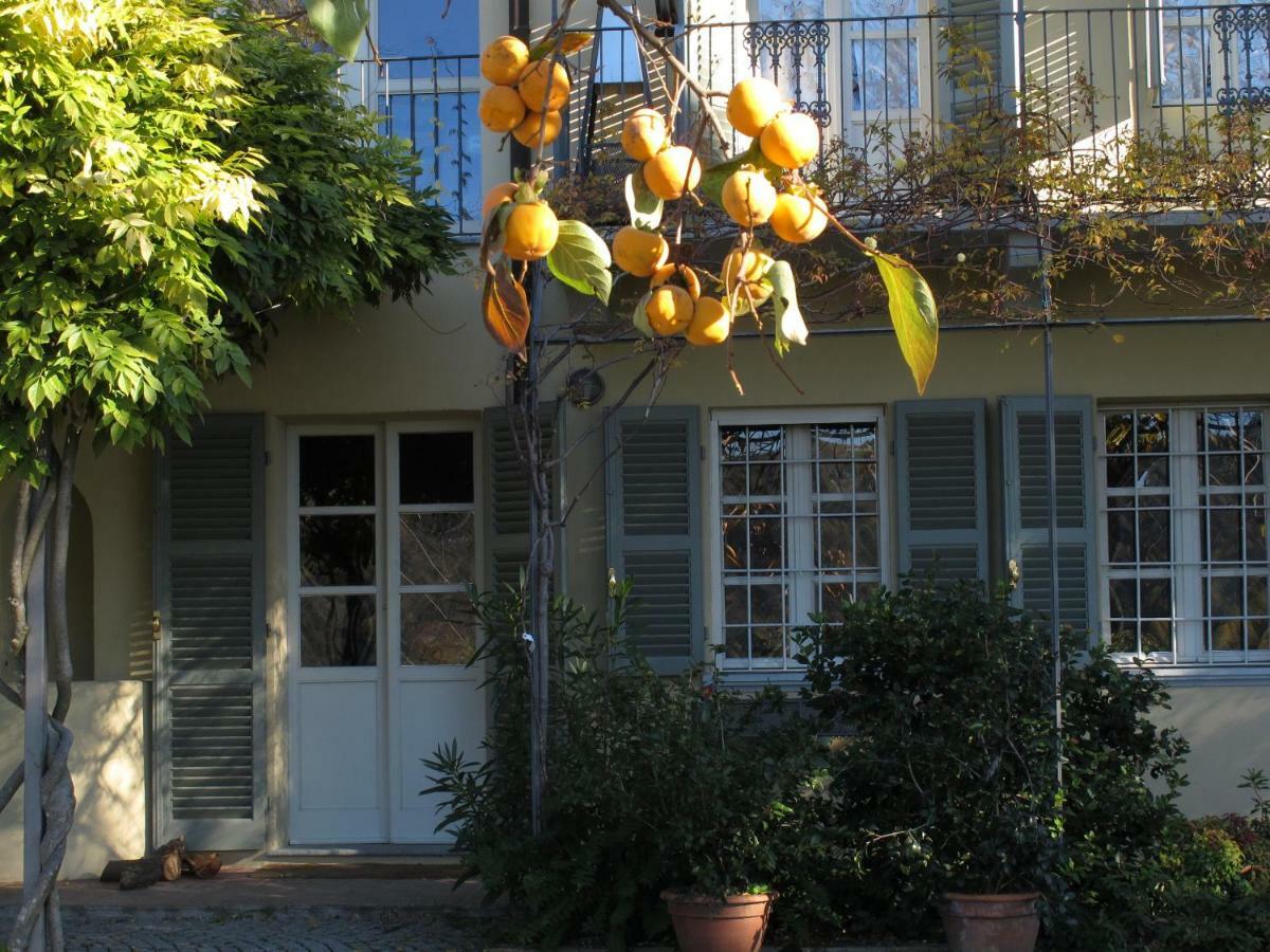 Sotto La Luna Bruna B&B Кокконато Экстерьер фото