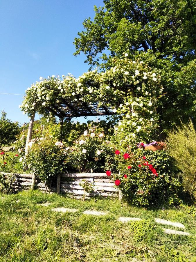 Sotto La Luna Bruna B&B Кокконато Экстерьер фото
